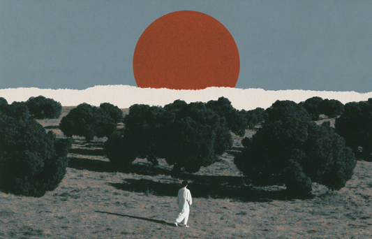 Red Sun Behind the Trees II