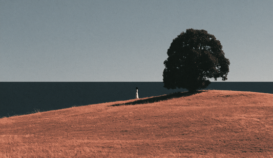 Tree Above the Red Field