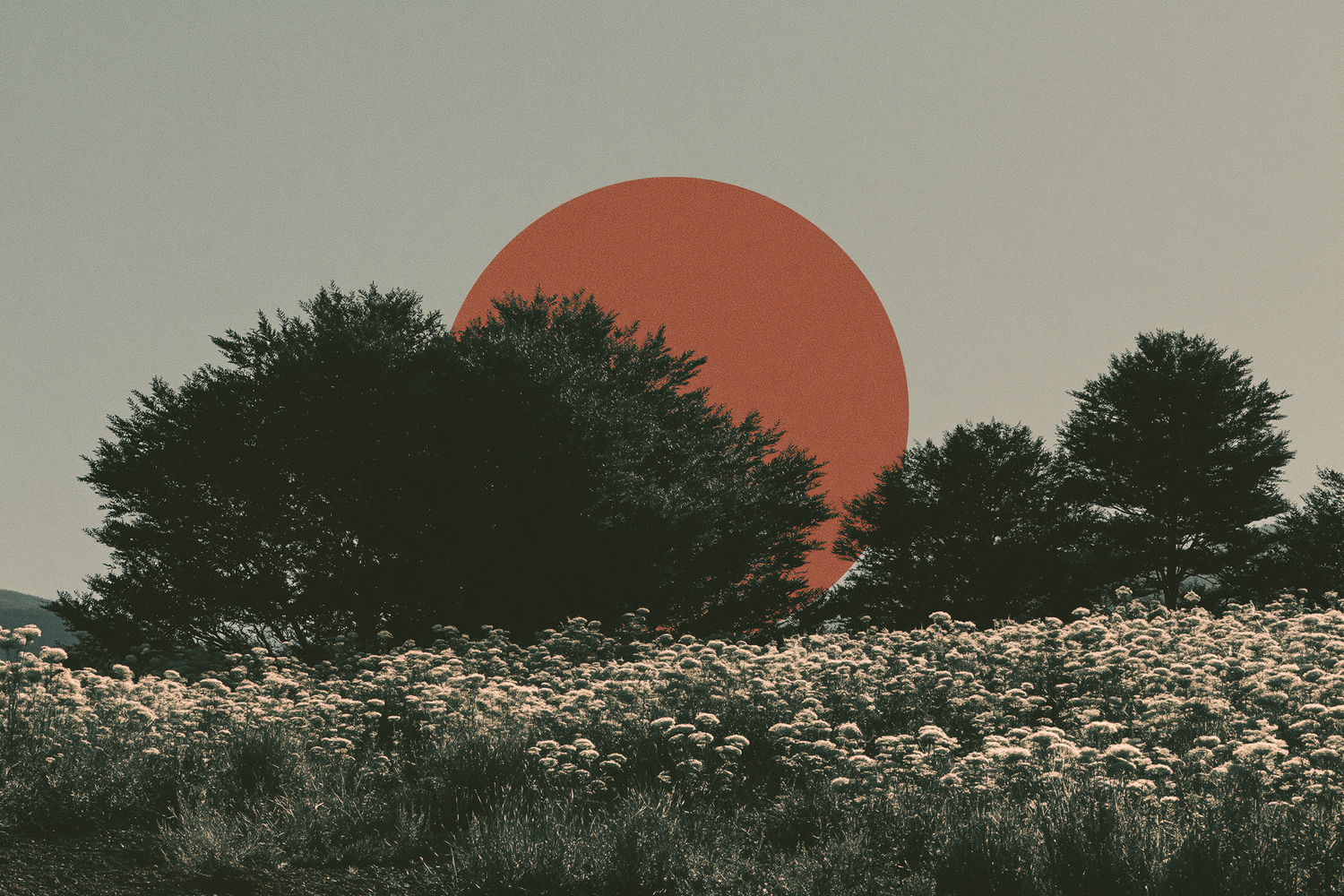 Landscapes