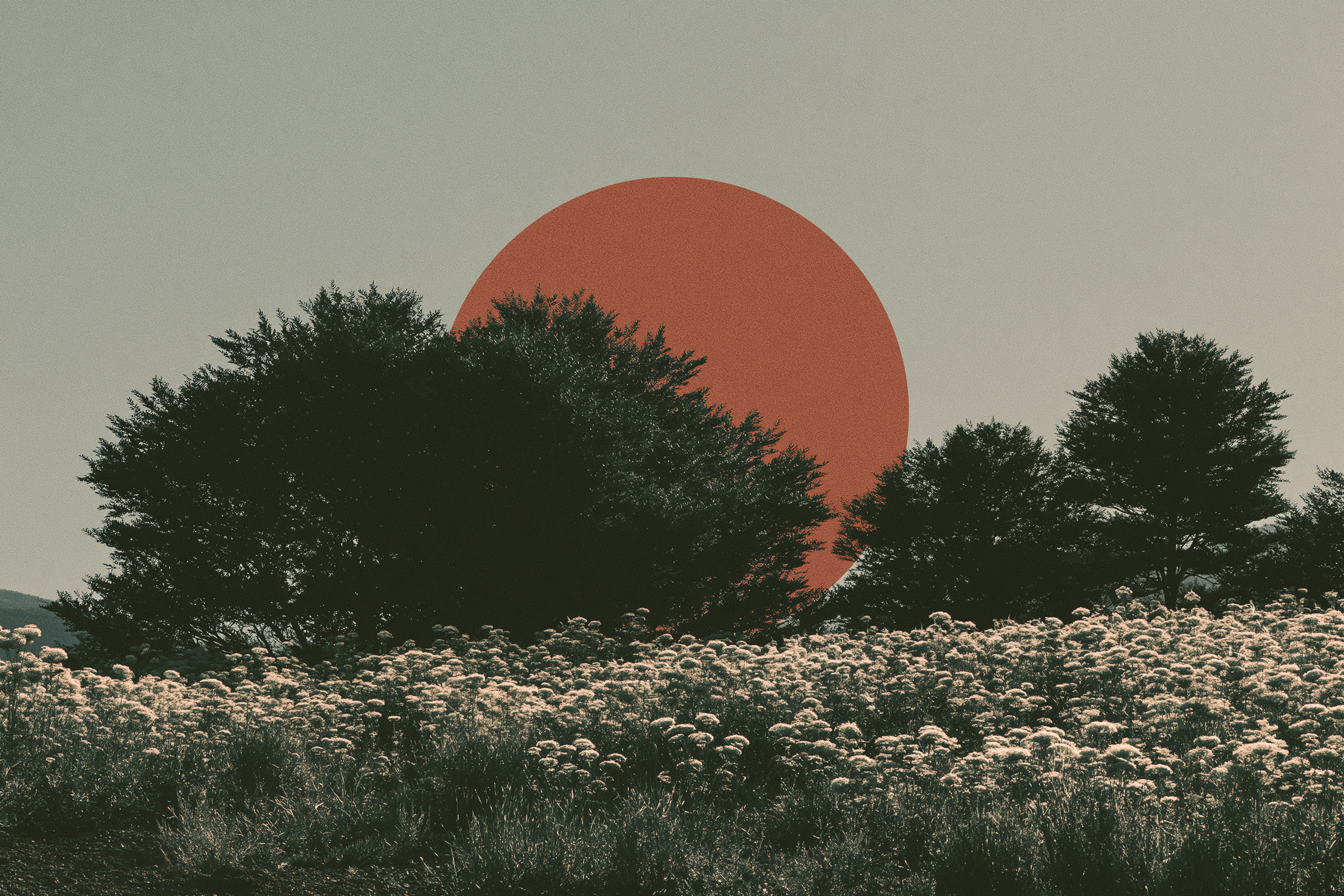 Landscapes