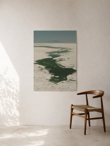 Salt Path to the Horizon art print