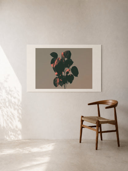 Red Leaves in Low Light art print