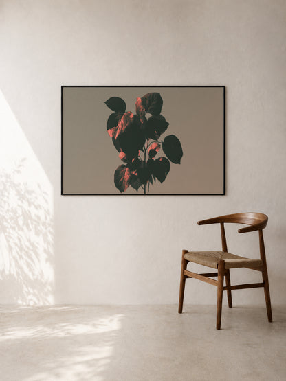 Red Leaves in Low Light art print