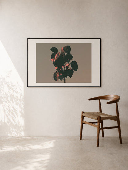 Red Leaves in Low Light art print