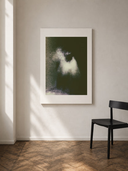 White in Shadows art print