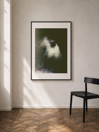 White in Shadows art print