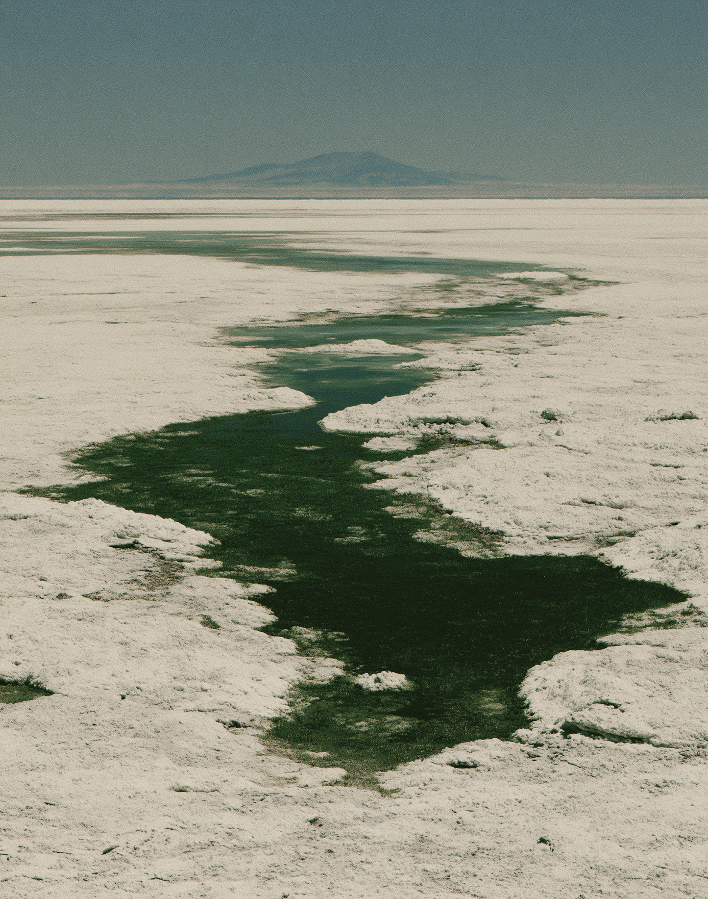 Salt Path to the Horizon