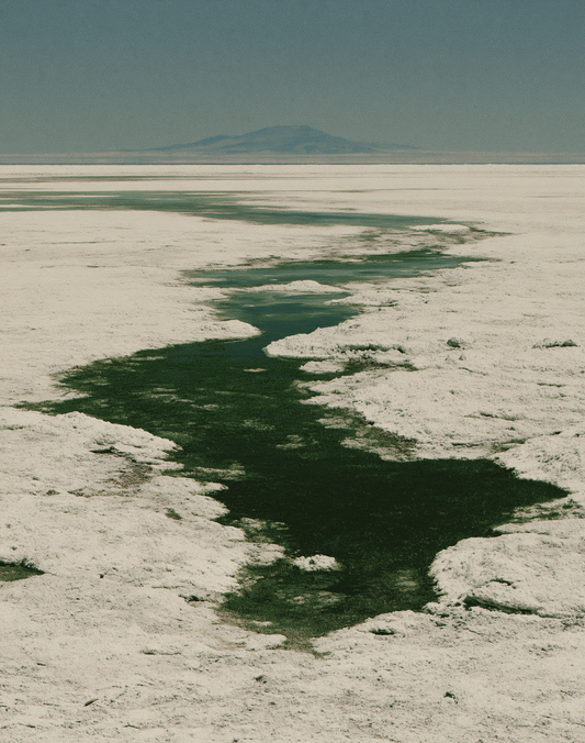 Salt Path to the Horizon