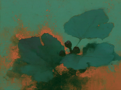 Fig Leaves on Summer Earth