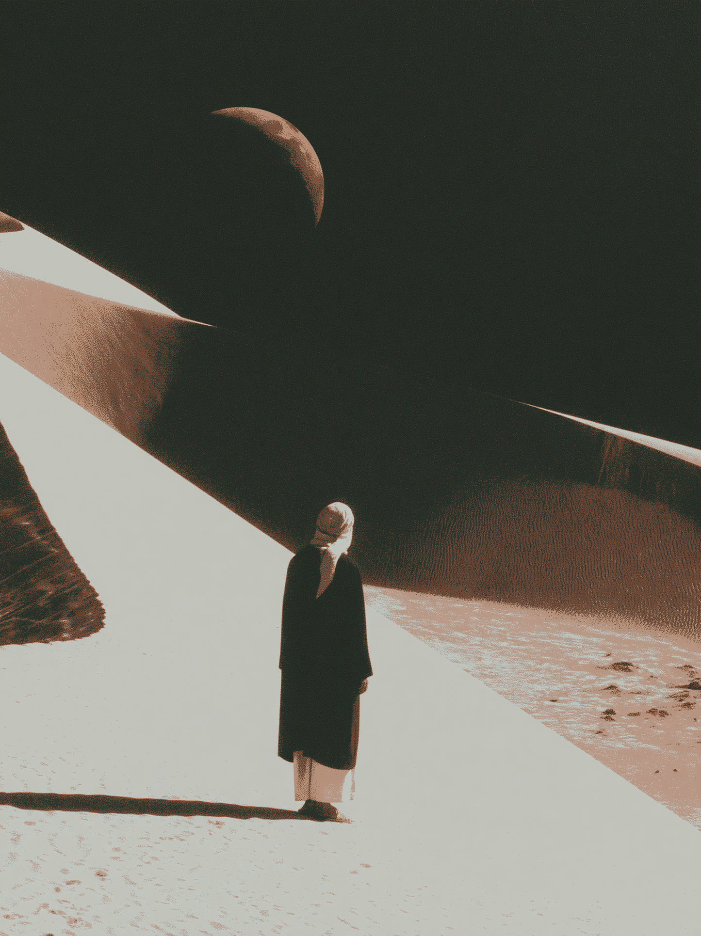 Moon Over the Pale Path